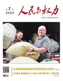 人民与权力