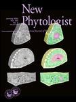 New Phytologist《新植物学家》