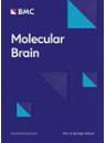 Molecular Brain《分子脑》