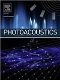 Photoacoustics《光声学》