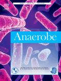 Anaerobe《厌氧菌》