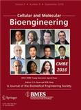 Cellular and Molecular Bioengineering《细胞与分子生物工程》