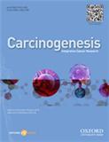 CARCINOGENESIS《癌变》