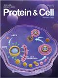 蛋白质与细胞（英文版）（Protein &amp; Cell）