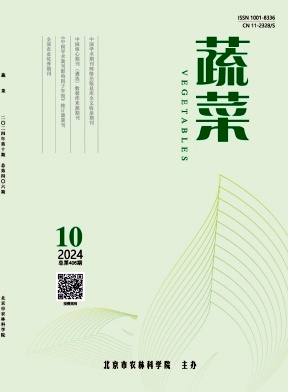 蔬菜