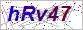 点击切换验证码