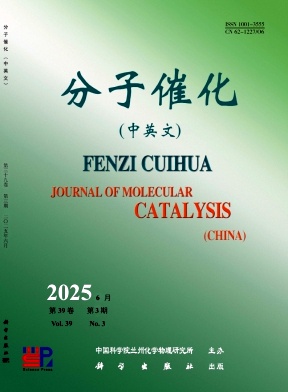 分子催化（中英文）