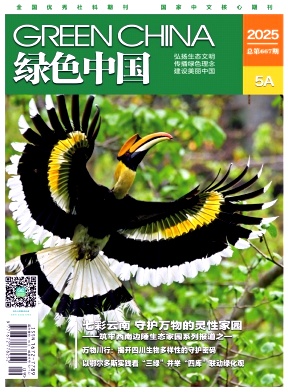绿色中国