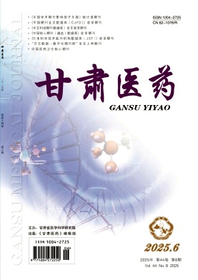 甘肃医药