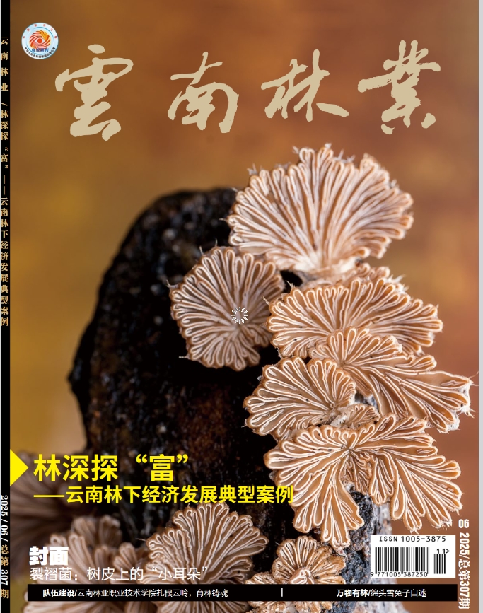 云南林业