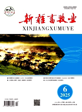 新疆畜牧业