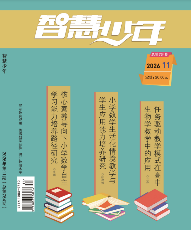 智慧少年